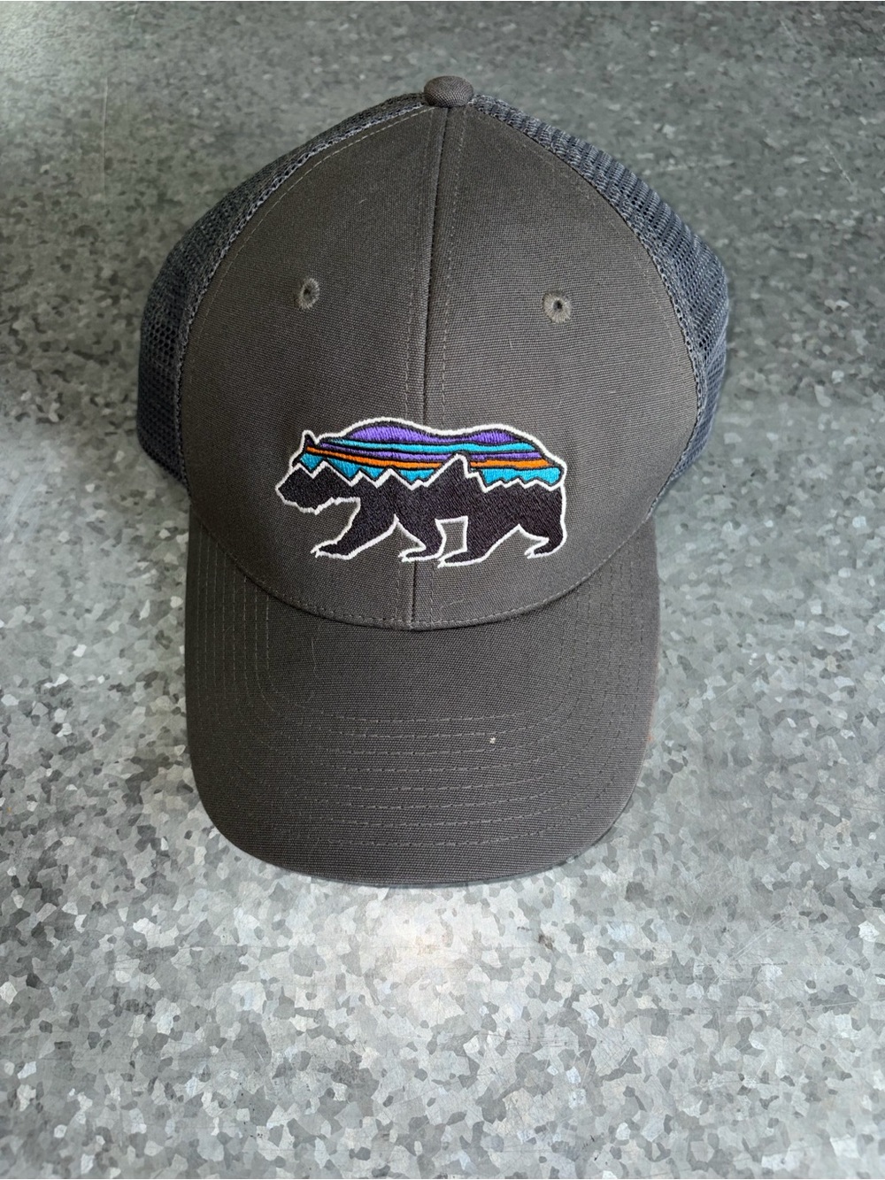 Patagonia  Bear Trucker Hat